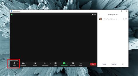 How to: Mute Zoom meeting participants, audio, and mic