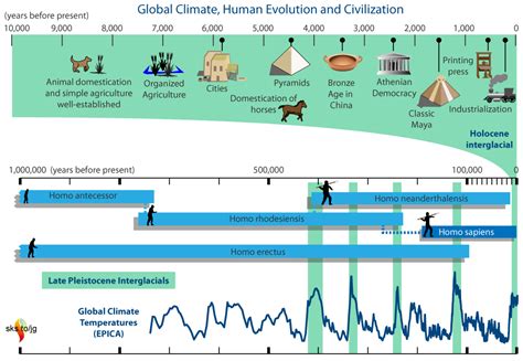 Simple Timeline Of Evolution