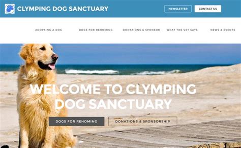 Clymping Dog Sanctuary in Clymping Dog Sanctuary - British Kennels Directory