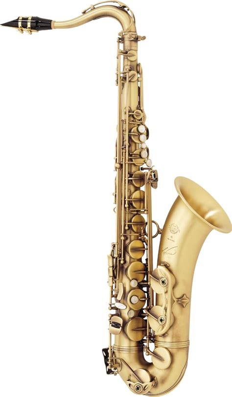 Best Tenor Saxophones [Buyer's Guide + Reviews 2021]