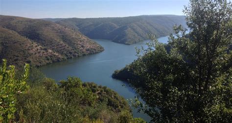 The International Nature Reserve of the Tagus River - Discovering the ...