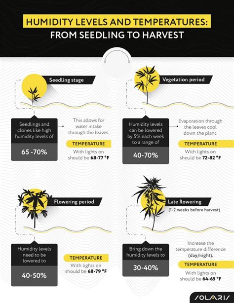 Best Humidity Levels for Growing Cannabis - Solaris Farms