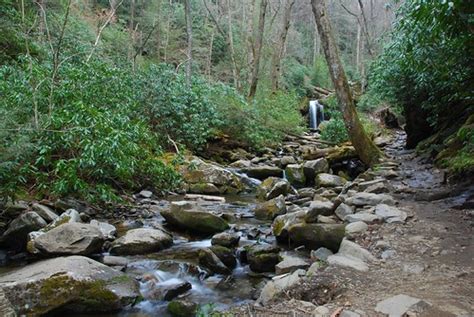 Grotto Falls Trail - Tennessee | AllTrails.com