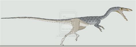 Coelophysis Pictures & Facts - The Dinosaur Database