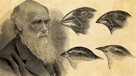 Charles Darwin's Theory of Evolution -UPSC Current Affairs - IAS GYAN