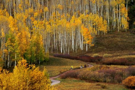 Fall color guide: Best hikes and drives in Colorado | FOX31 Denver