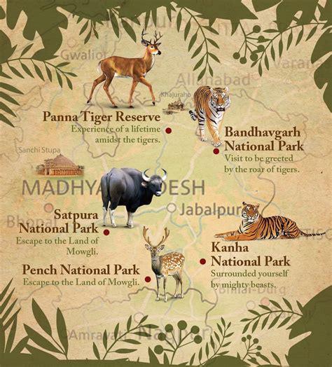 Wildlife Tours of Madhya Pradesh