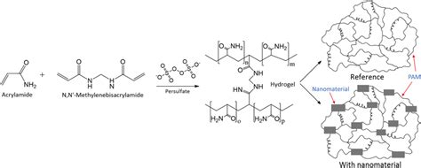 Schematic of the synthesis of polyacrylamide and nanocomposite ...