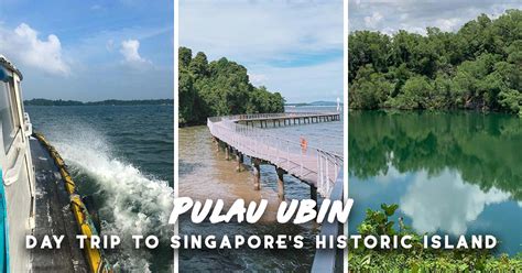 Pulau Ubin Guide — A Local’s Guide to Exploring This Hidden Gem - The ...