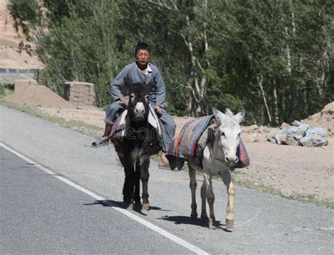 Afghanistan Village Street Life in the West in the Summer of 2018 ...