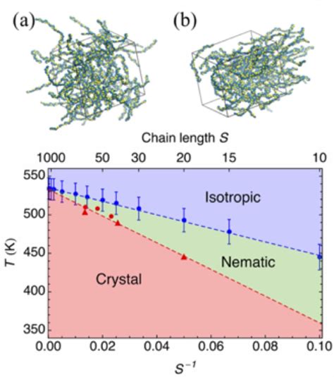 Polymer phase behavior | Milner Research Group