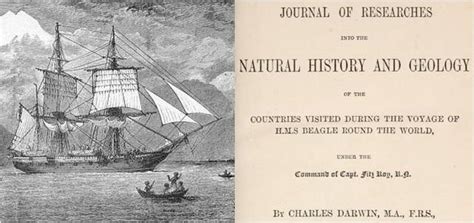 Books and Films - The Voyage of the Beagle by Charles Darwin