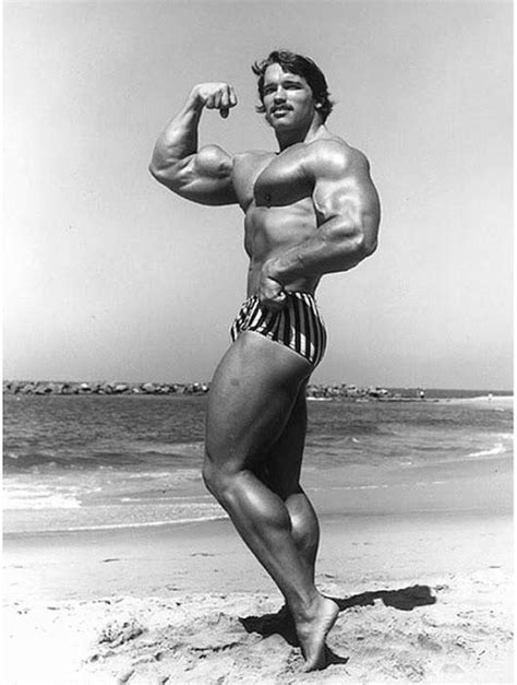 All things Arnold Schwarzenegger