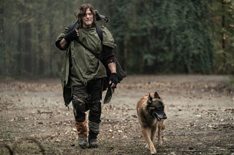 The Walking Dead: Daryl’s dog’s origin story finally explained in ...