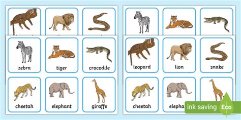 Safari Animals Matching Pairs Game (teacher made)