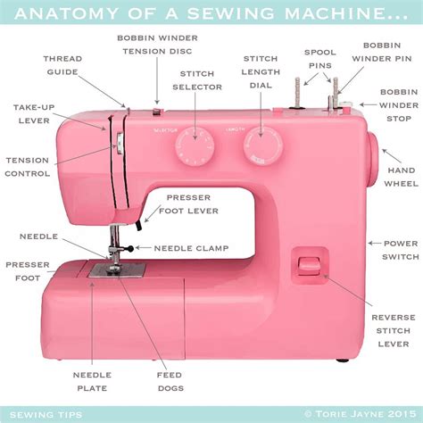 Anatomy of a Sewing Machine | Sewing machine, Sewing machine beginner, Teaching sewing