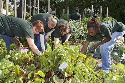 Volunteers Needed at Gardens Across Vermont - Vermont Maturity