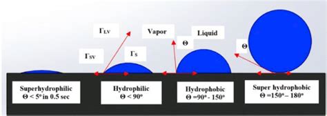 Schematic illustration of hydrophilic, superhydrophilic, hydrophobic,... | Download Scientific ...