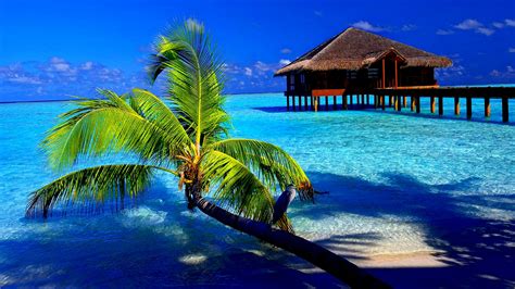 Escape to paradise with these Desktop backgrounds tropical scenery