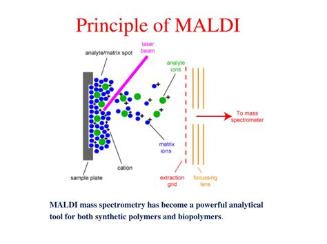 PPT - Mass Spectrometry (Mass Spec.) PowerPoint Presentation, free ...