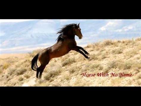 Horse With No Name - (Cover Instrumental Modified Version) - YouTube