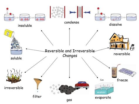 Reversible And Irrevesible Changes