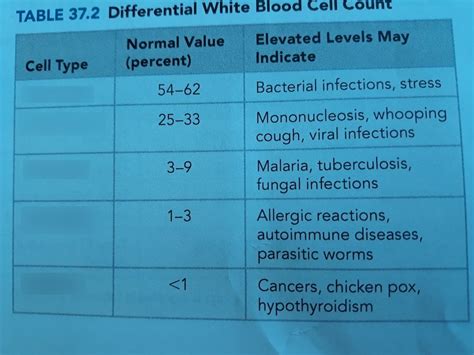 Differential white blood cell count Diagram | Quizlet