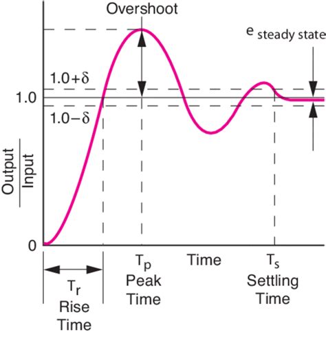 Steady State Theory Diagram