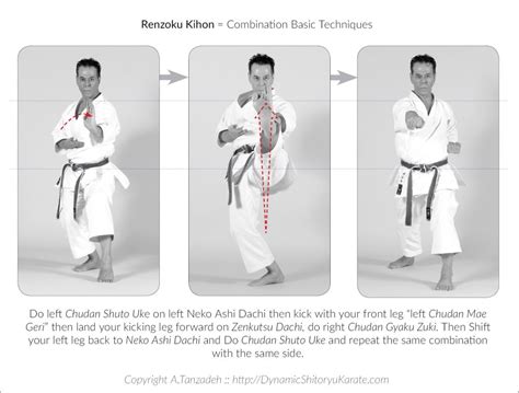 Renzoku Kihon = Combination Basic Techniques – A.Tanzadeh, 8th Dan, Kyoshi of World Shitoryu ...