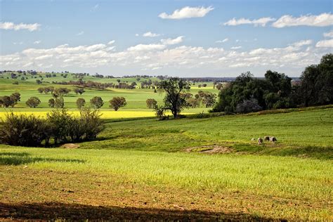 australian countryside | Near Thoona Victoria, Australia | Flickr
