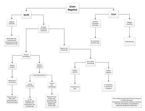 Gram Negative Bacilli Identification Flowchart | Porn Sex Picture