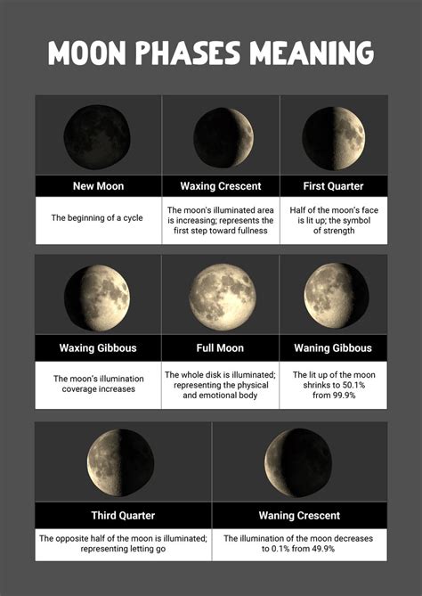 Moon Phases Template