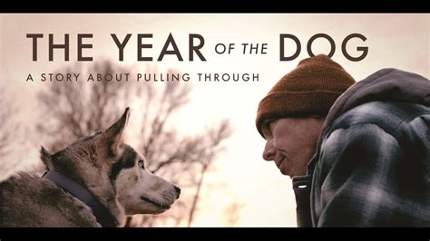 Indie film by Port Angeles High School grad stars rescue dog | king5.com