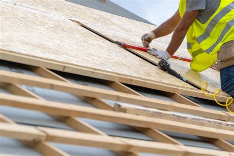 Using The Right Size Plywood For A New Roof Build