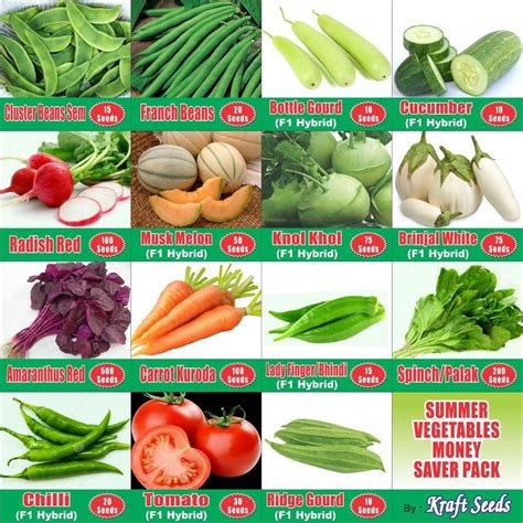 Kraft Seeds Summer Vegetable Seeds Combo (15 N 1) - Money Saver Pack ...