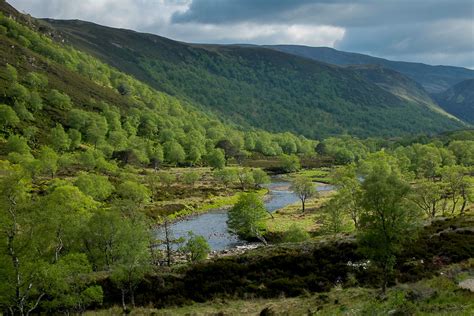 Our pick: 16 of Scotland’s finest native forests | Walkhighlands