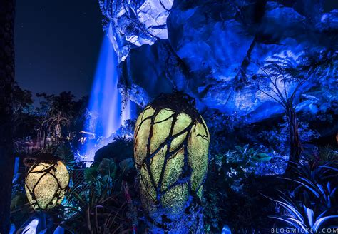 PHOTOS + VIDEO: Pandora - The World of Avatar Comes Alive at Night