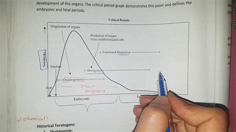 Teratogenesis - YouTube