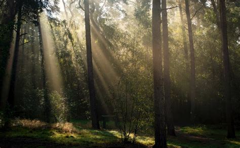 Beautiful Backlit Photography - noupe