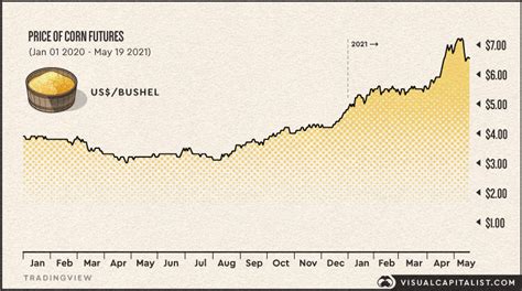 The Industries Affected by Surging Corn Prices - The Sounding Line