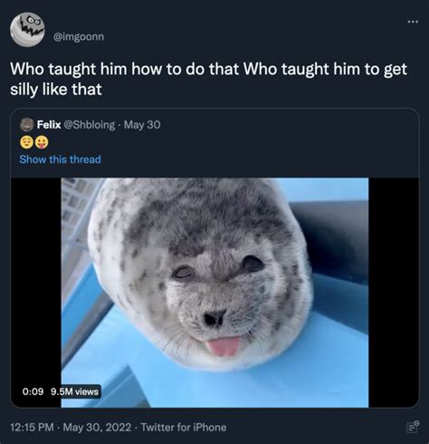 Smiling And Winking Baby Seal Sticking Its Tongue Out (meme) | Smiling ...