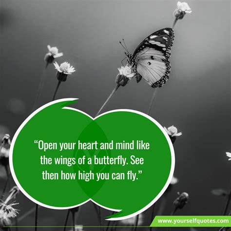 55 Quotes About Butterfly, Quotes For Butterfly - Happily Evermindset