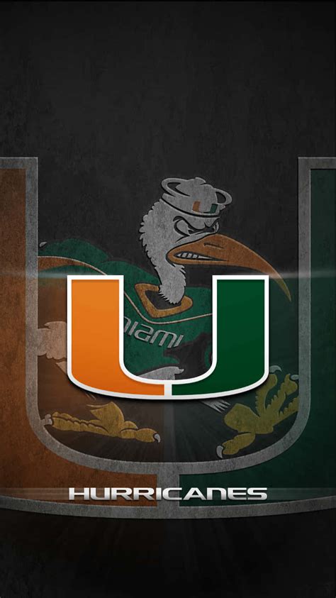 [100+] Miami Hurricanes Wallpapers | Wallpapers.com