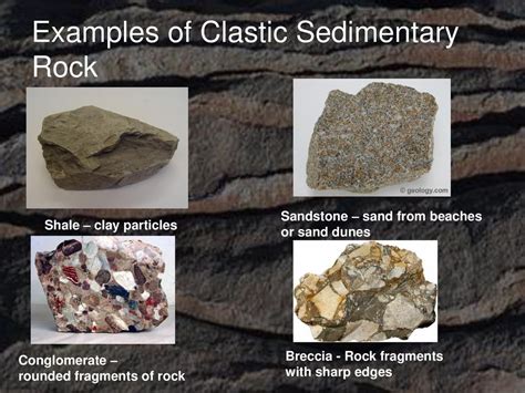 Sedimentary Rock Examples