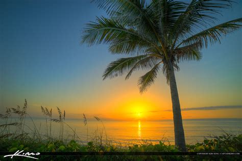 Florida Beach Sunrise Coconut Tree Treasure Coast | HDR Photography by Captain Kimo