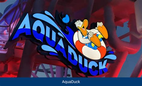 Disney Fantasy AquaDuck | Wish Upon a Star With Us