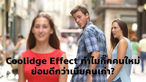 [The Thinker Man] Coolidge Effect ทำไมกิ๊กคนใหม่ย่อมดีกว่าเมียคนเก่า? คุณผู้หญิงเคยรู้สึกไม่พอใจ ...