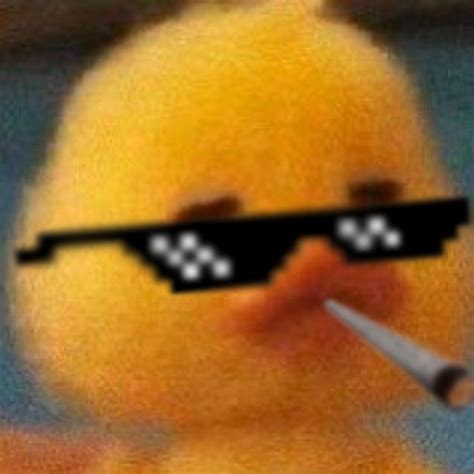 Meme duck in 2022 | Funny profile pictures, Funny pfps for discord, Best profile pictures