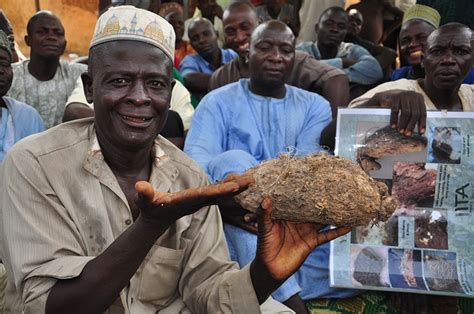 Sustainable Agriculture in Nigeria - The Borgen Project