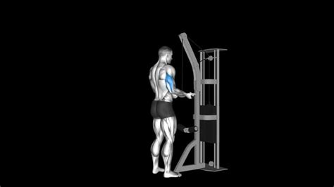 Cable Underhand Tricep Pushdown – How To Video, Alternatives & More